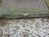 image of grave number 757620
